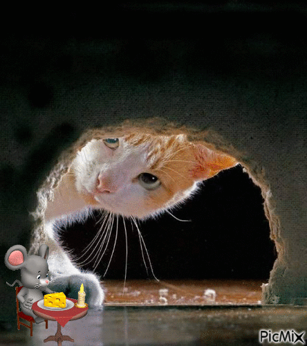 chat alors - Zdarma animovaný GIF