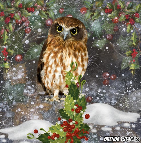 winter owl - bezmaksas png