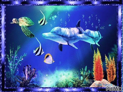 Blue dolphin gif - Nemokamas animacinis gif