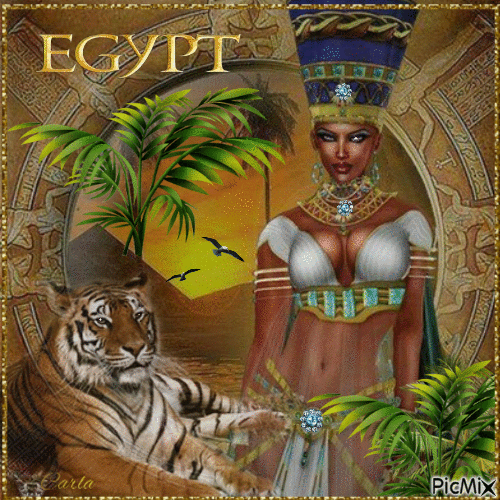 Egypt contest
