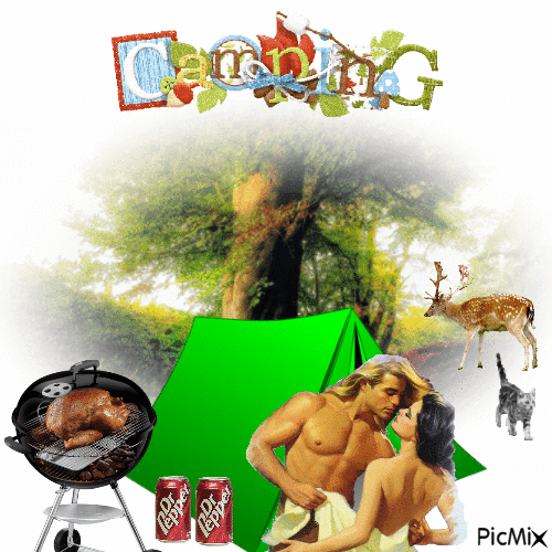 Camping In Seattle Washington - Безплатен анимиран GIF