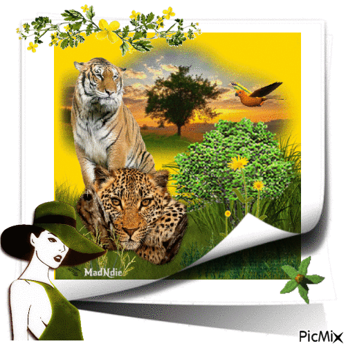 tigre ou léopard - Бесплатный анимированный гифка