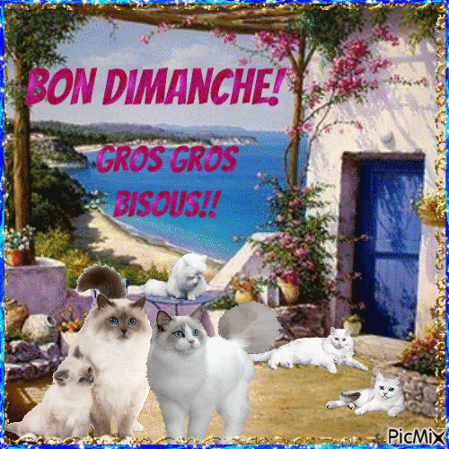 Bon Dimanche! - Darmowy animowany GIF