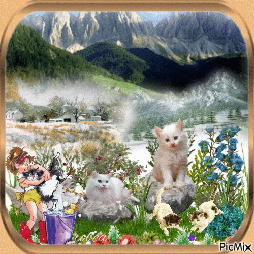Chatons dans un paysage - Free animated GIF