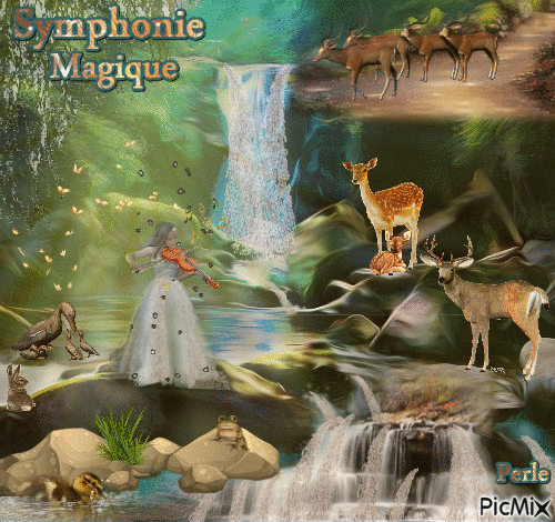 Symphonie Magique - GIF animate gratis