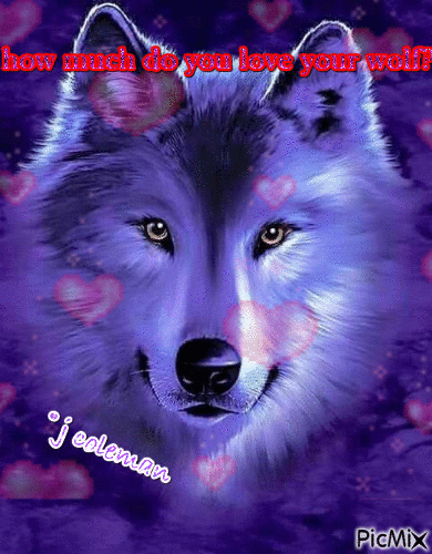 2-5 love your wolf - Free animated GIF