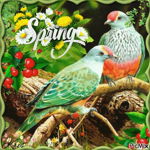 Oiseaux au printemps - Безплатен анимиран GIF