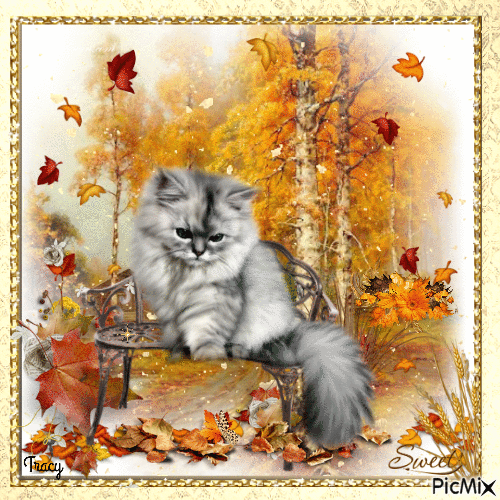 Autumn cat - Безплатен анимиран GIF