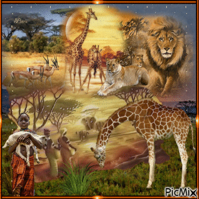 African animals - PicMix