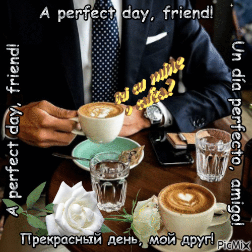 Un día perfecto, amigo!1q - Δωρεάν κινούμενο GIF
