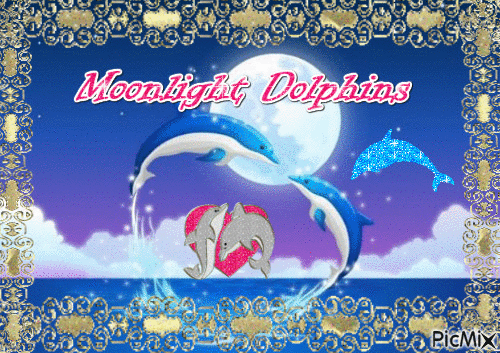 MoonlightDolphins - GIF animé gratuit