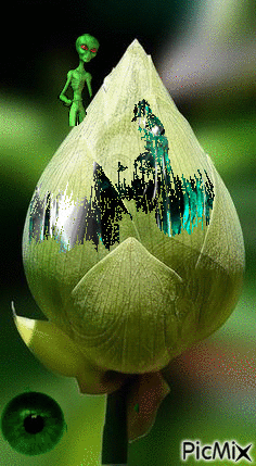 Misteriosa flor de loto - GIF animasi gratis