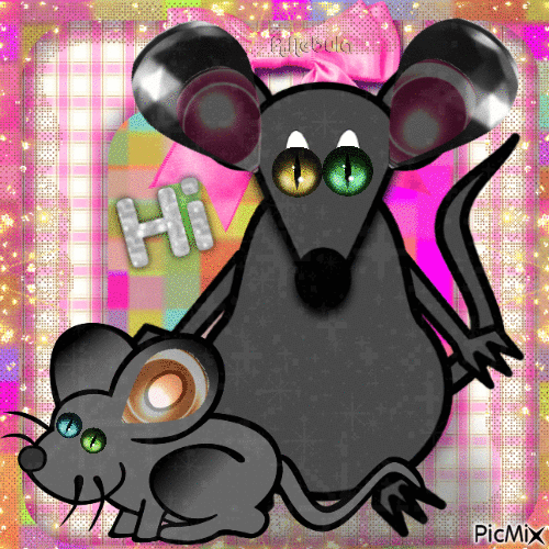Big-eared black mouse-contest - Gratis animerad GIF