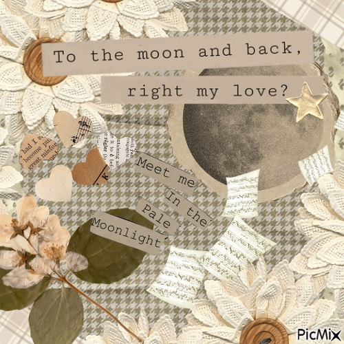 Moon .☾₊ ⊹ - gratis png