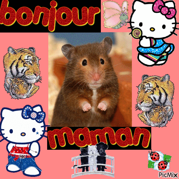 bonjour maman - Безплатен анимиран GIF