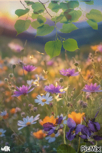 Flores en el campo - GIF animado grátis