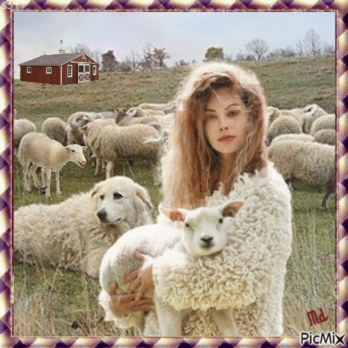 Femme avec des moutons - GIF animé gratuit