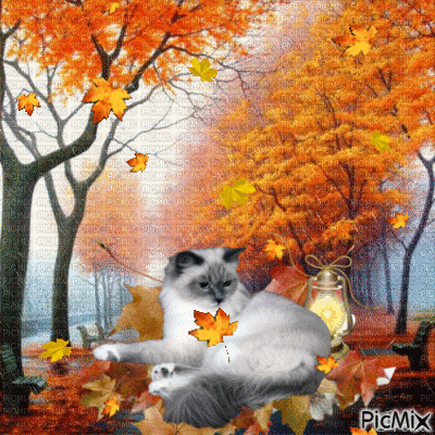 Automne - Free animated GIF