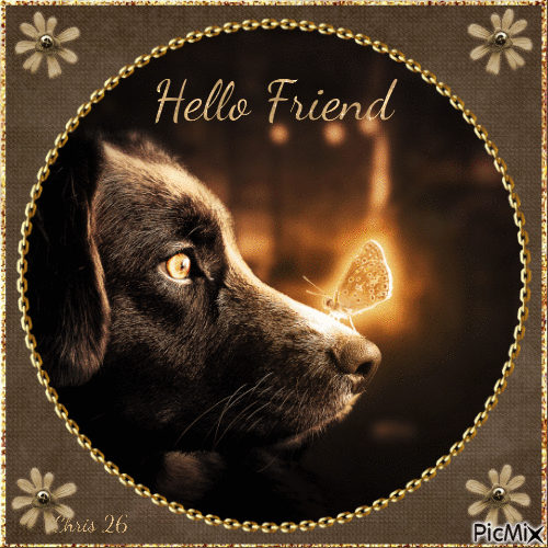 Hello friend - 免费动画 GIF