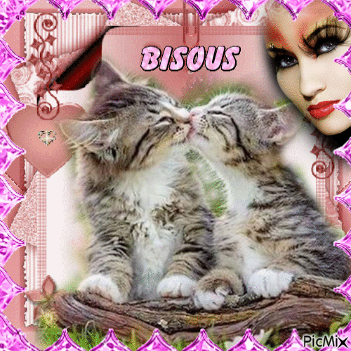 Chats bisous - 免费动画 GIF
