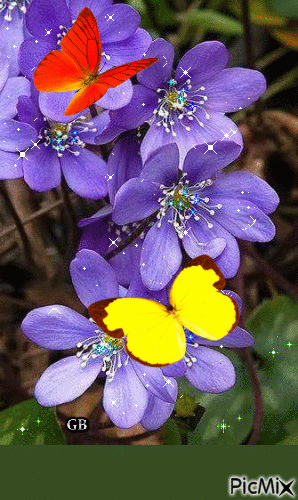 Blumen - Ilmainen animoitu GIF