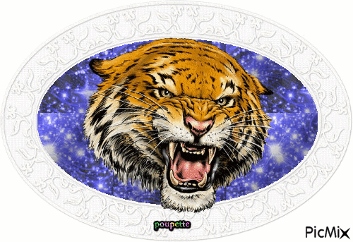 tigre - Бесплатни анимирани ГИФ