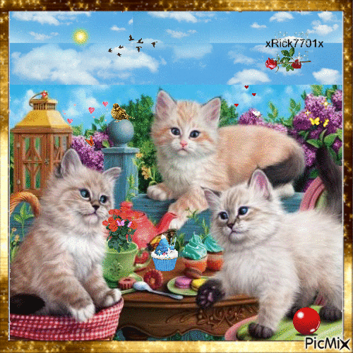 3 cute kittens   6-6-21 by  Rick - GIF animado gratis
