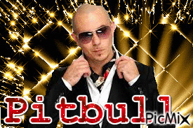 dj pitbull - Ingyenes animált GIF