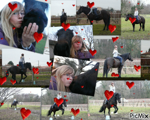 mon cheval et moi - Besplatni animirani GIF
