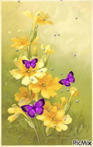Mariposas púrpura - GIF animé gratuit