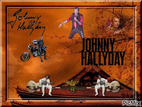 Johnny Hallyday - png gratis