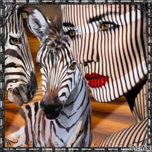 Zebra - Animovaný GIF zadarmo