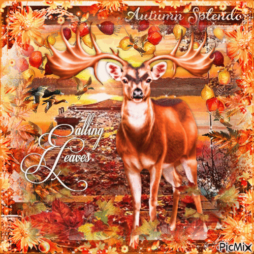 Autumn sunset deer animals - GIF animé gratuit