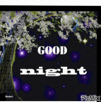 good night (شب بخیر ) - GIF animasi gratis