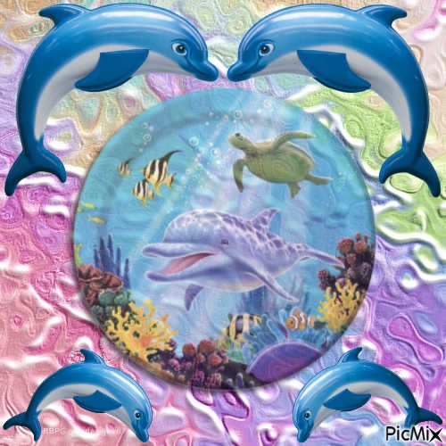 dolphin background - PNG gratuit