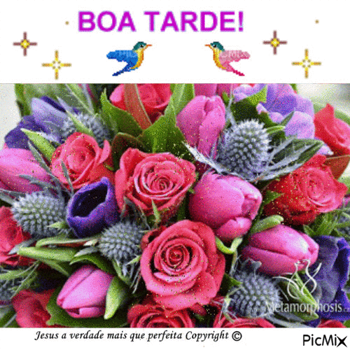 Boa Tarde II 25/08/2016 - Бесплатный анимированный гифка