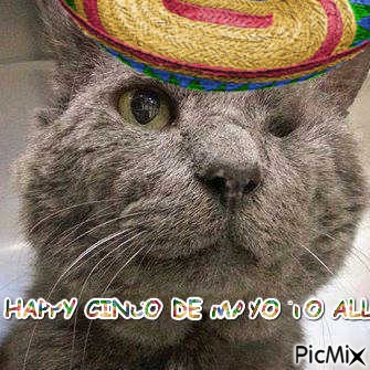 CINCO DE MAYO NORRY - Free PNG