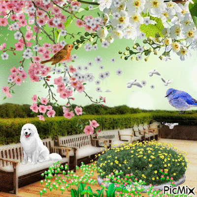 Spring flowers - Darmowy animowany GIF