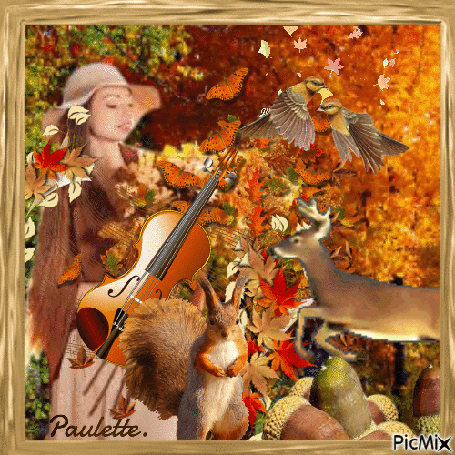 symphonie d'automne - Gratis animerad GIF