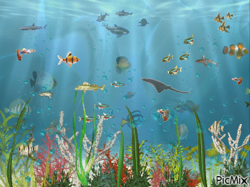 monde aquatique - GIF animado gratis