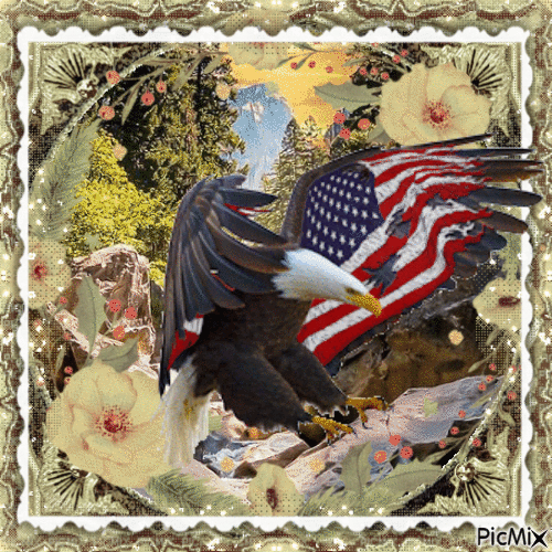 American Eagle - Бесплатни анимирани ГИФ