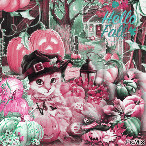 Cat in the Pumpkin Patch - GIF animasi gratis
