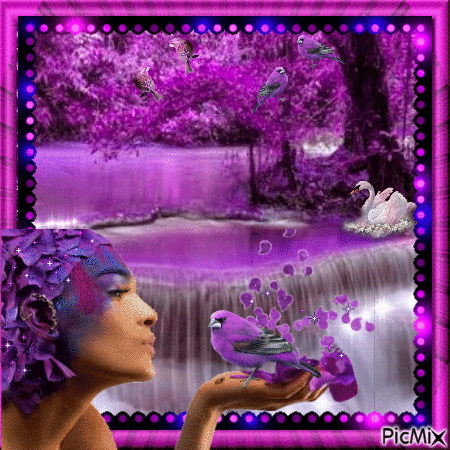 couleur violette - GIF animado grátis
