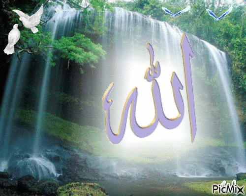 Allah - Zdarma animovaný GIF