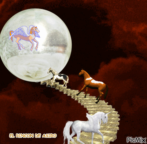 caballos - Nemokamas animacinis gif