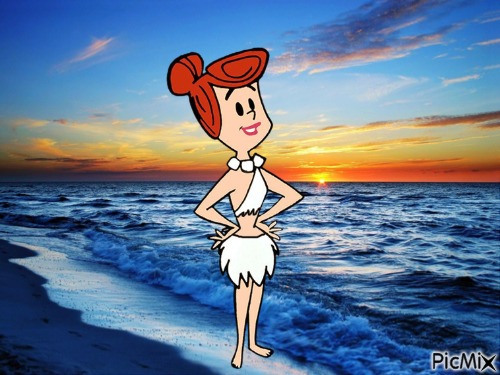 Wilma at a dusky beach - png ฟรี