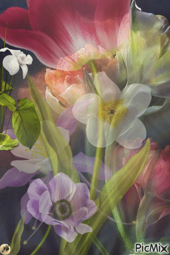 Clamor floral - Gratis geanimeerde GIF