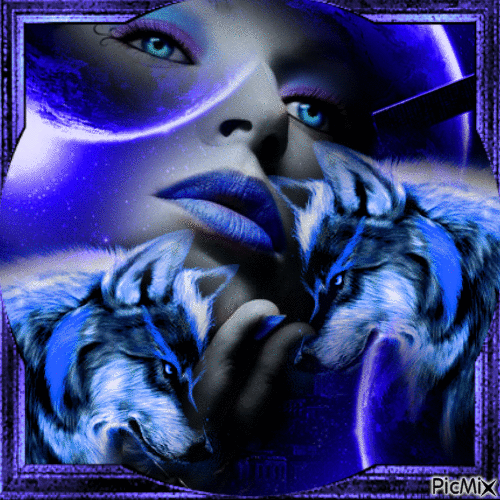 Loup,visage,lune en bleu - Δωρεάν κινούμενο GIF