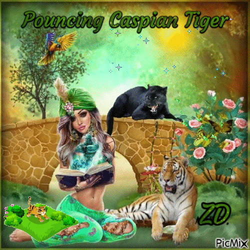 Pouncing Caspian tiger - 免费动画 GIF