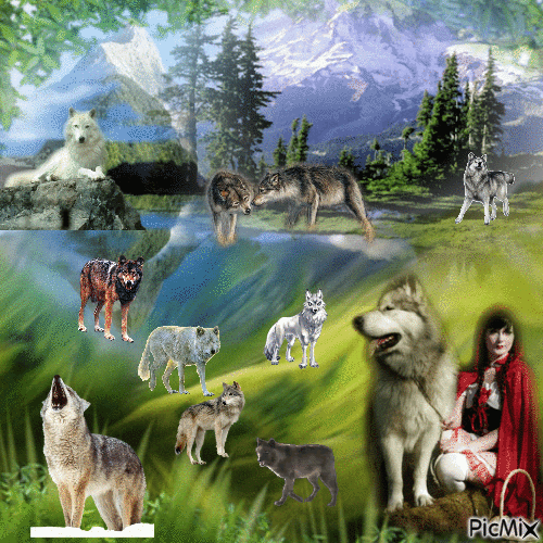 la vallée des loup - Ingyenes animált GIF